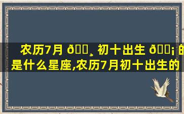 农历7月 🕸 初十出生 🐡 的是什么星座,农历7月初十出生的是什么星座的人